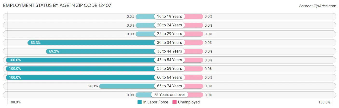 Employment Status by Age in Zip Code 12407