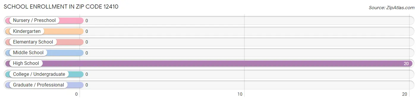 School Enrollment in Zip Code 12410