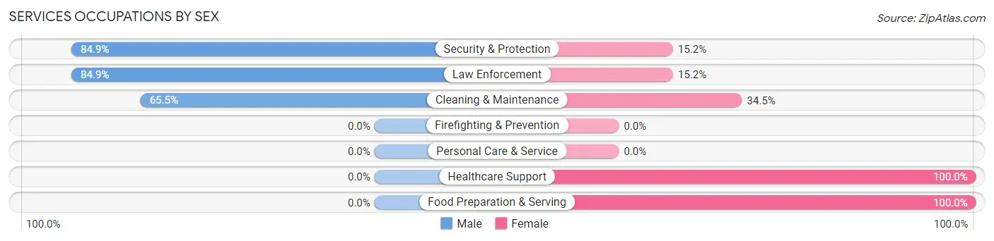 Services Occupations by Sex in Zip Code 12419
