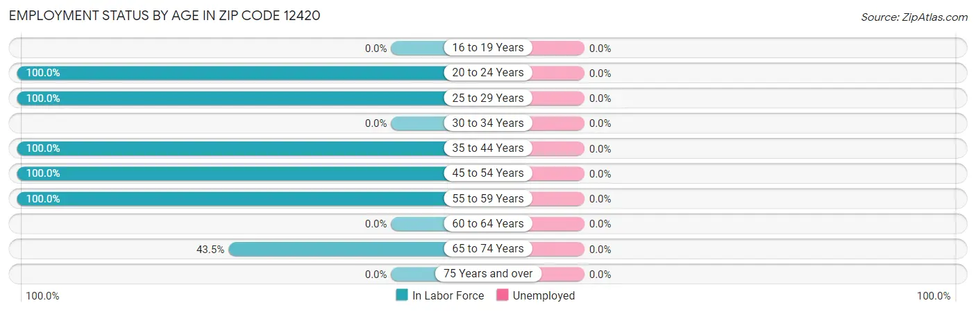 Employment Status by Age in Zip Code 12420