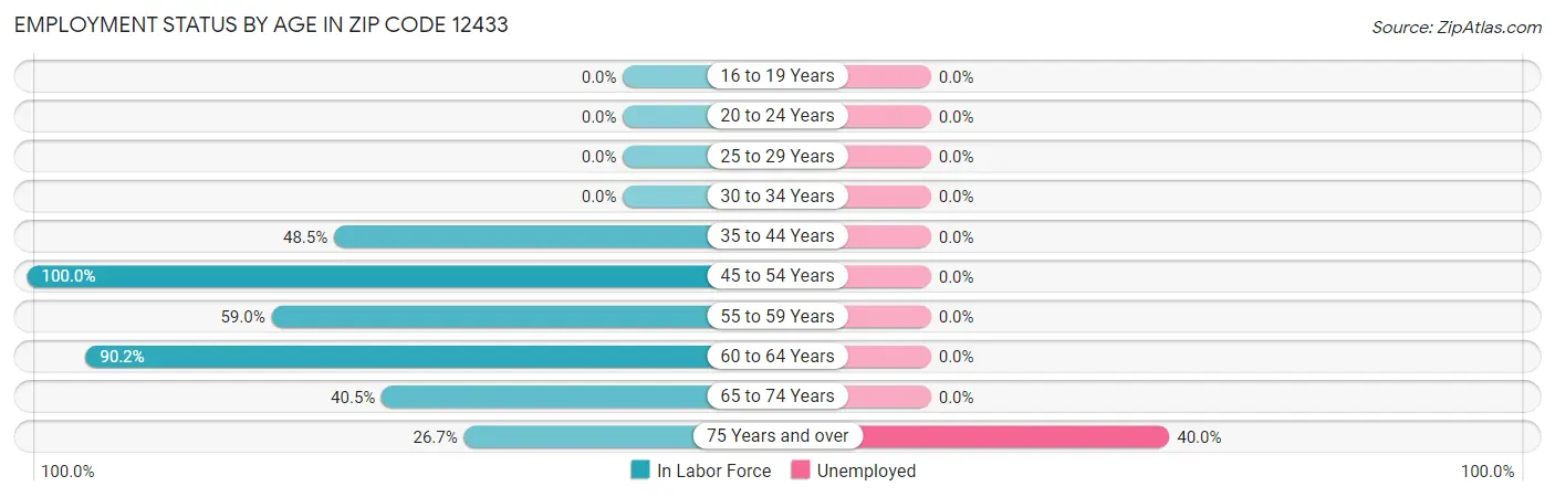 Employment Status by Age in Zip Code 12433