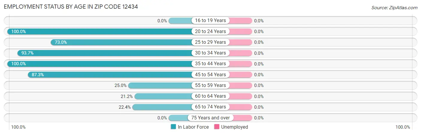 Employment Status by Age in Zip Code 12434