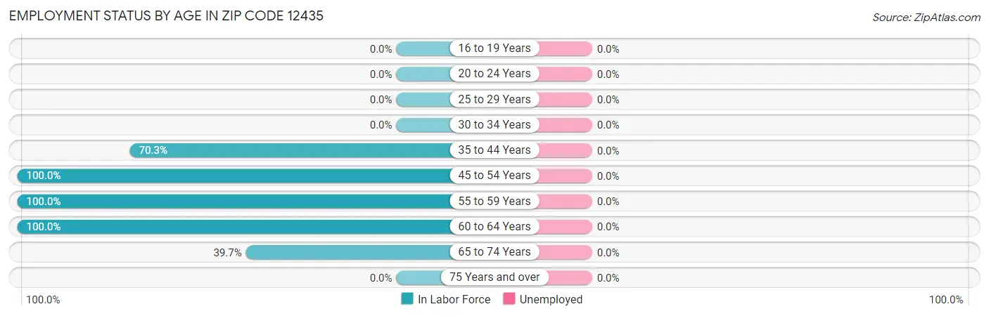 Employment Status by Age in Zip Code 12435