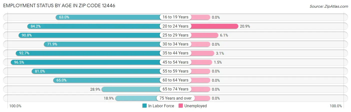 Employment Status by Age in Zip Code 12446