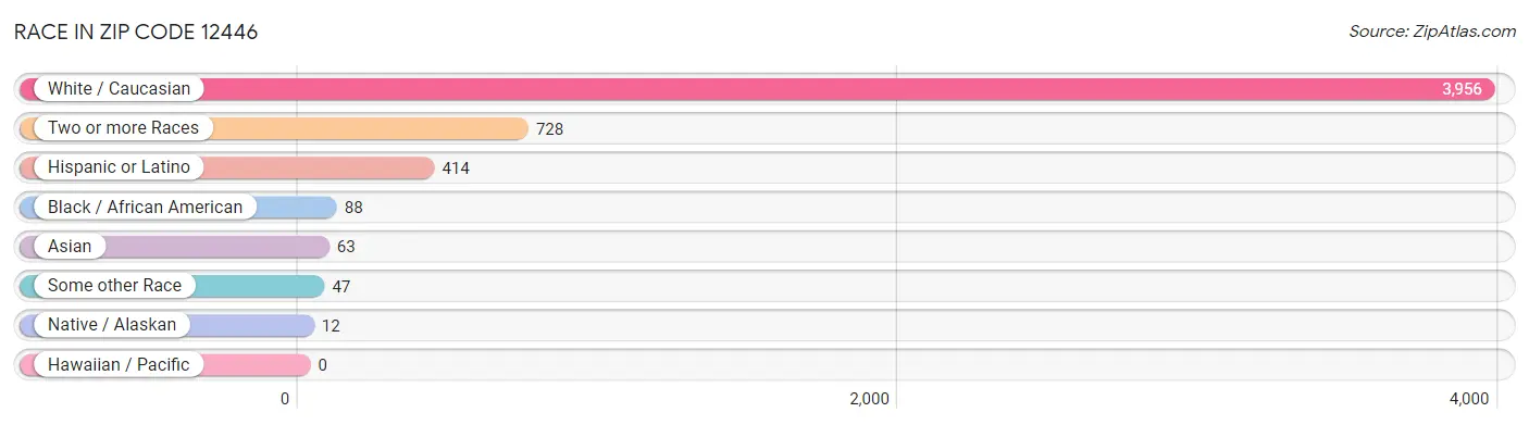 Race in Zip Code 12446