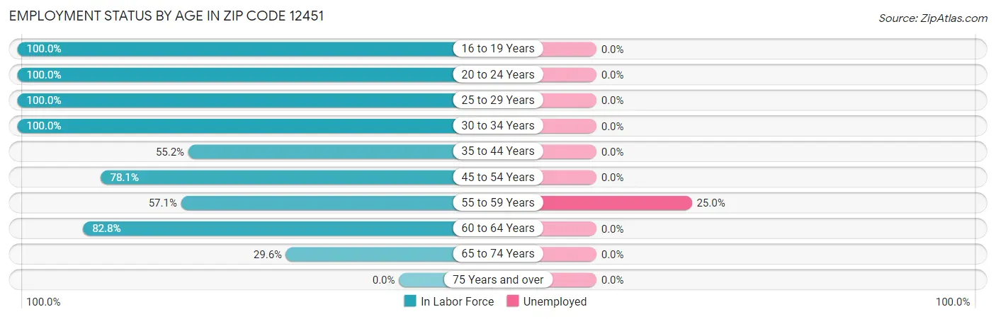 Employment Status by Age in Zip Code 12451