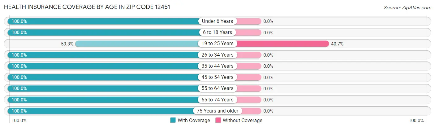 Health Insurance Coverage by Age in Zip Code 12451