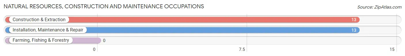 Natural Resources, Construction and Maintenance Occupations in Zip Code 12451