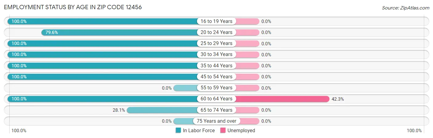 Employment Status by Age in Zip Code 12456