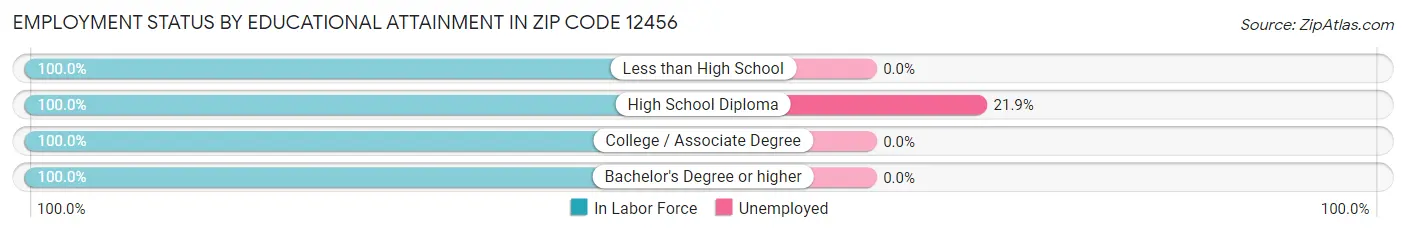 Employment Status by Educational Attainment in Zip Code 12456