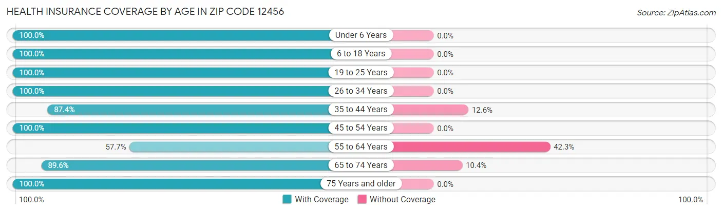 Health Insurance Coverage by Age in Zip Code 12456