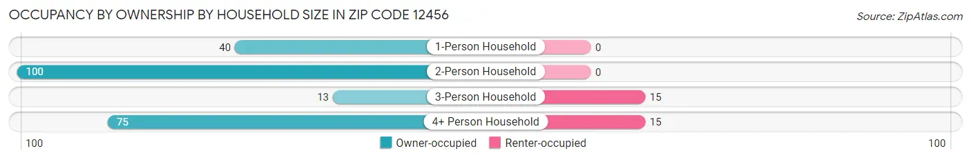 Occupancy by Ownership by Household Size in Zip Code 12456