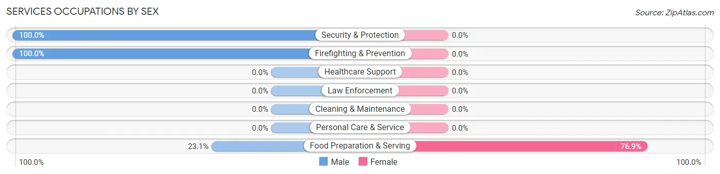 Services Occupations by Sex in Zip Code 12456
