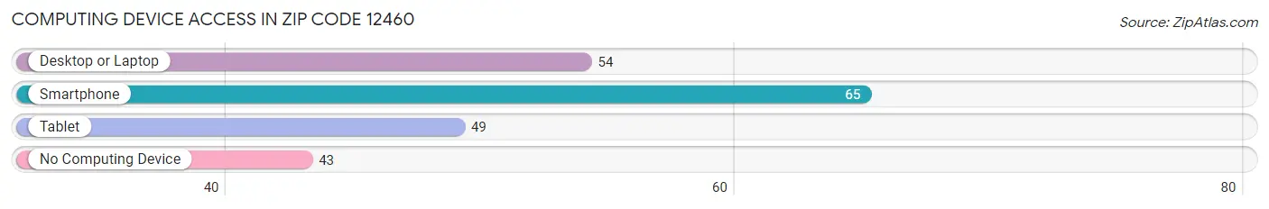 Computing Device Access in Zip Code 12460