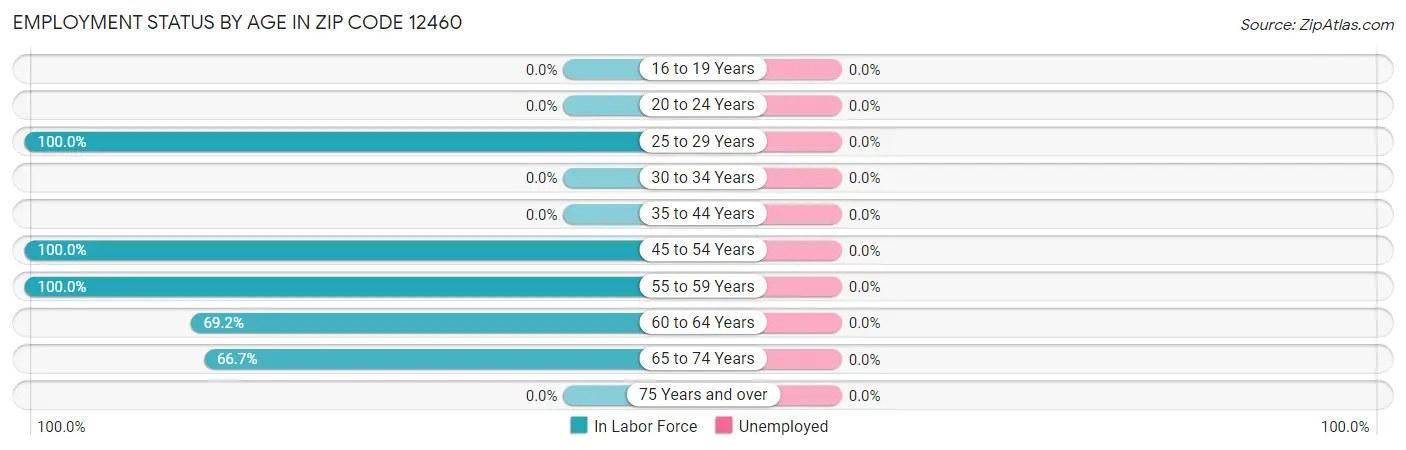 Employment Status by Age in Zip Code 12460