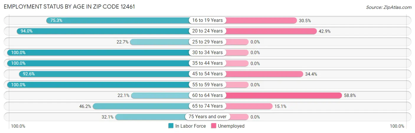 Employment Status by Age in Zip Code 12461