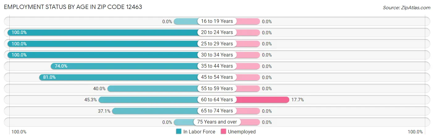 Employment Status by Age in Zip Code 12463