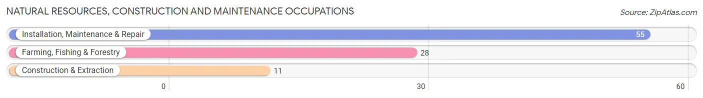 Natural Resources, Construction and Maintenance Occupations in Zip Code 12466