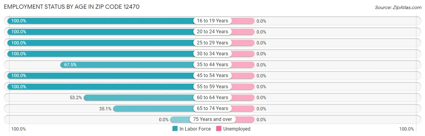 Employment Status by Age in Zip Code 12470