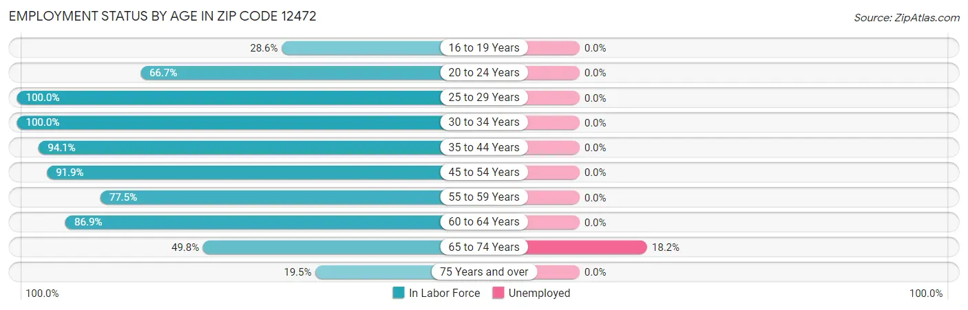 Employment Status by Age in Zip Code 12472