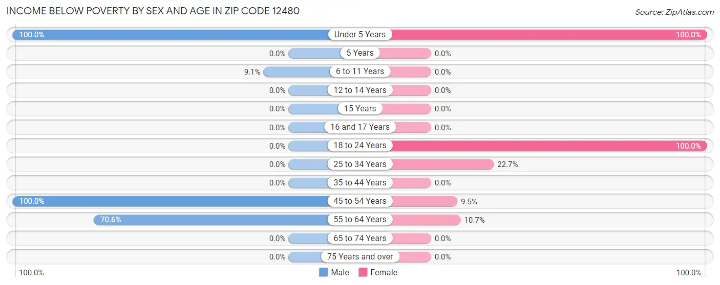 Income Below Poverty by Sex and Age in Zip Code 12480