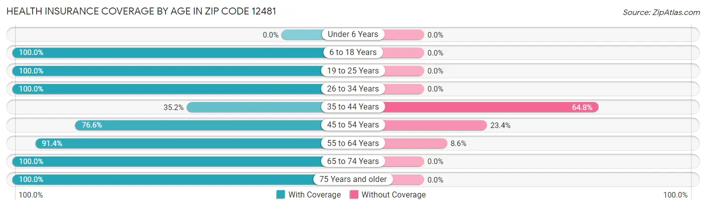 Health Insurance Coverage by Age in Zip Code 12481
