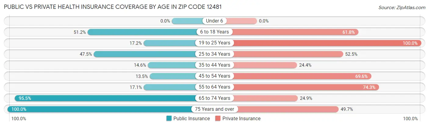 Public vs Private Health Insurance Coverage by Age in Zip Code 12481