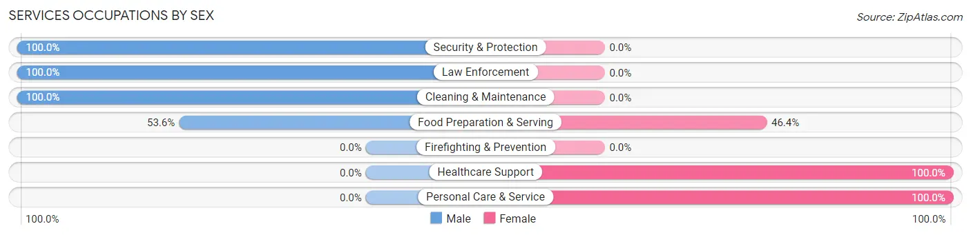 Services Occupations by Sex in Zip Code 12481