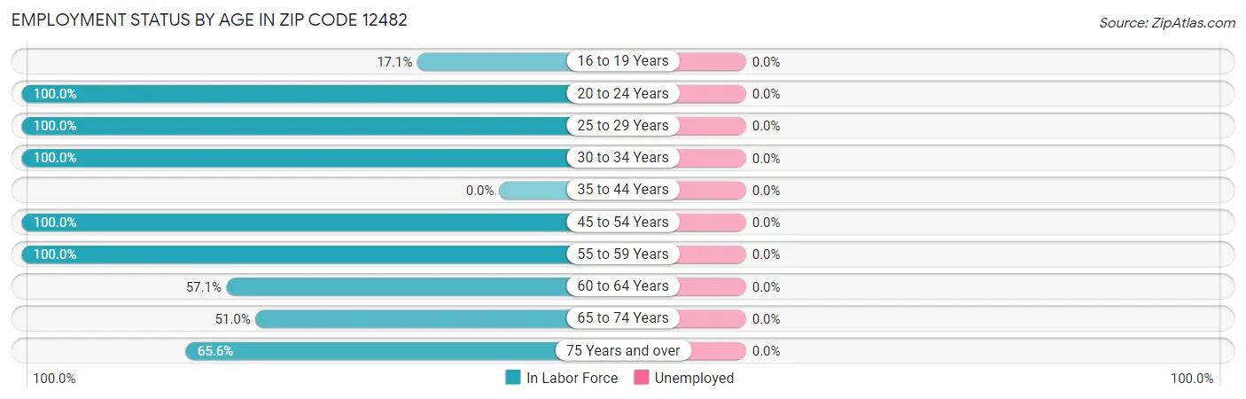 Employment Status by Age in Zip Code 12482