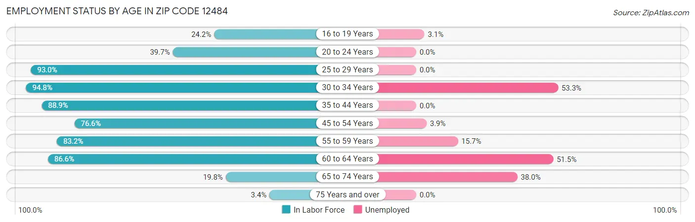 Employment Status by Age in Zip Code 12484