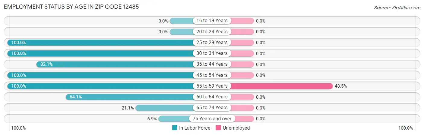 Employment Status by Age in Zip Code 12485