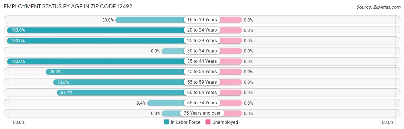 Employment Status by Age in Zip Code 12492