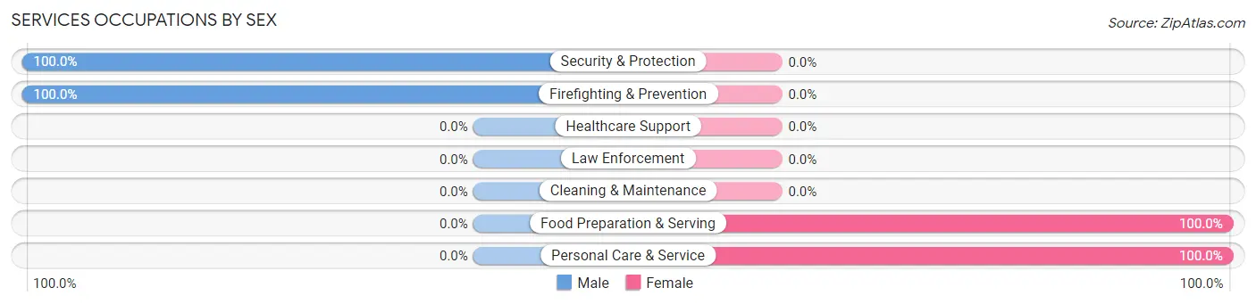 Services Occupations by Sex in Zip Code 12492