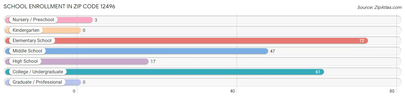 School Enrollment in Zip Code 12496