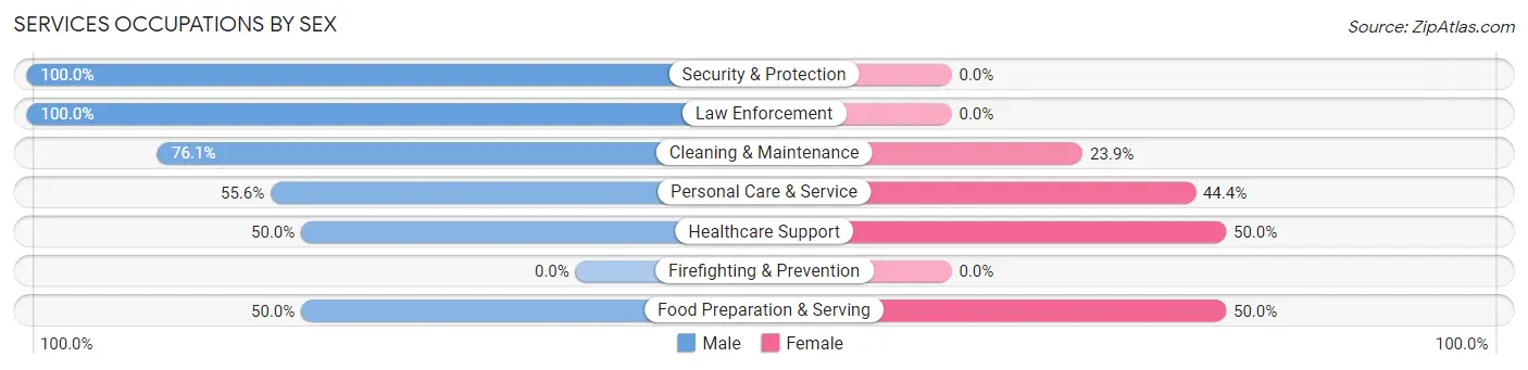 Services Occupations by Sex in Zip Code 12496