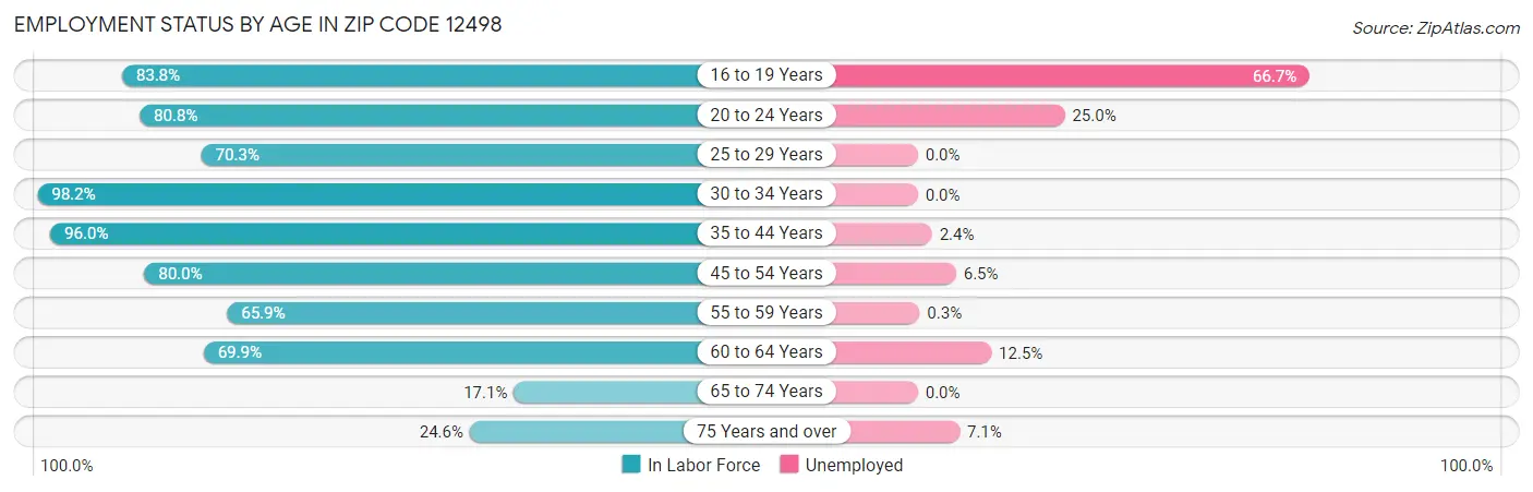 Employment Status by Age in Zip Code 12498