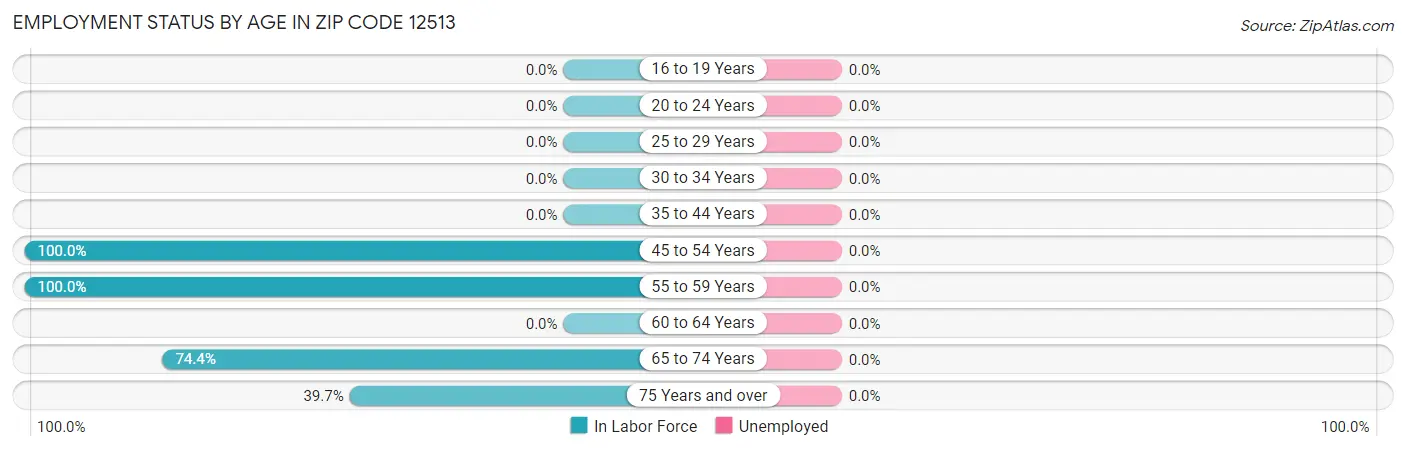 Employment Status by Age in Zip Code 12513