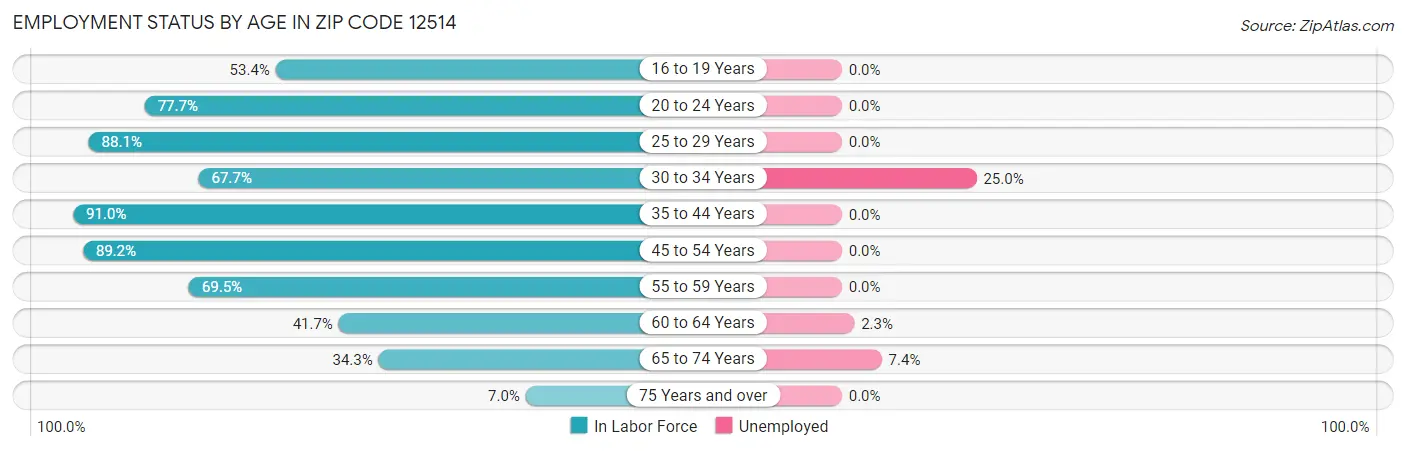 Employment Status by Age in Zip Code 12514