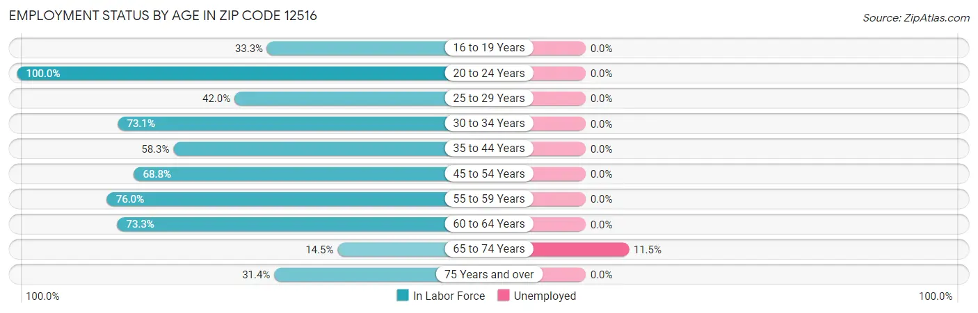 Employment Status by Age in Zip Code 12516