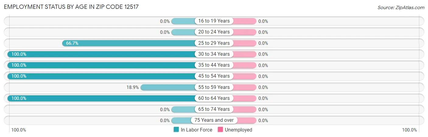 Employment Status by Age in Zip Code 12517