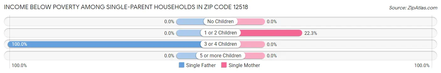 Income Below Poverty Among Single-Parent Households in Zip Code 12518
