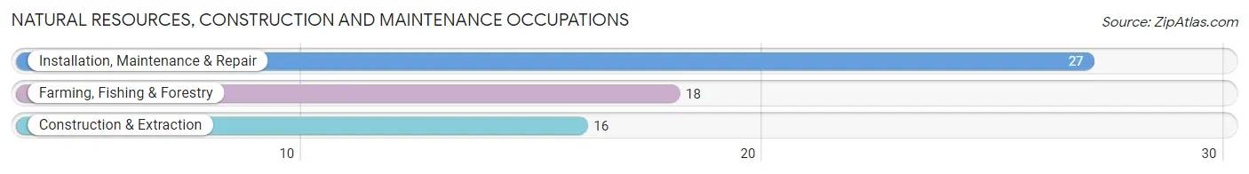 Natural Resources, Construction and Maintenance Occupations in Zip Code 12521