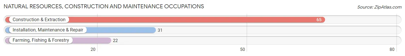 Natural Resources, Construction and Maintenance Occupations in Zip Code 12529