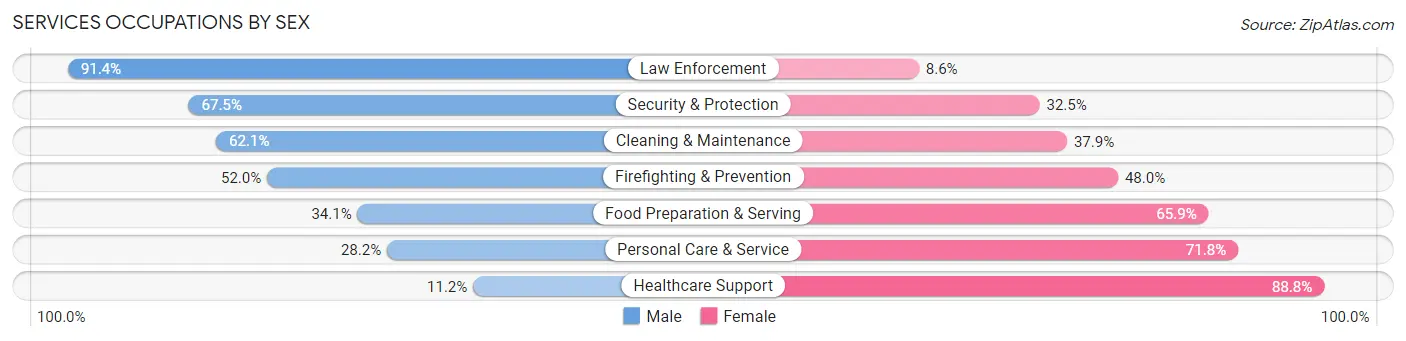Services Occupations by Sex in Zip Code 12533