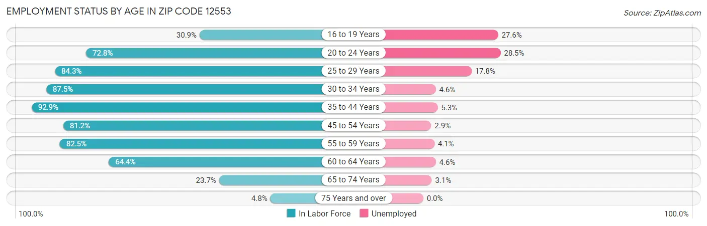 Employment Status by Age in Zip Code 12553