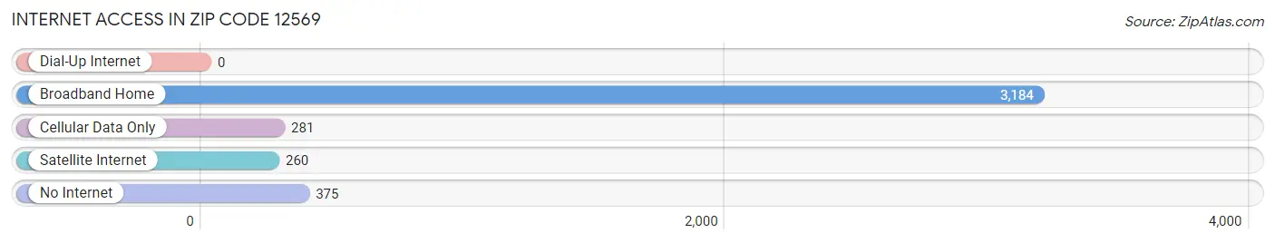 Internet Access in Zip Code 12569