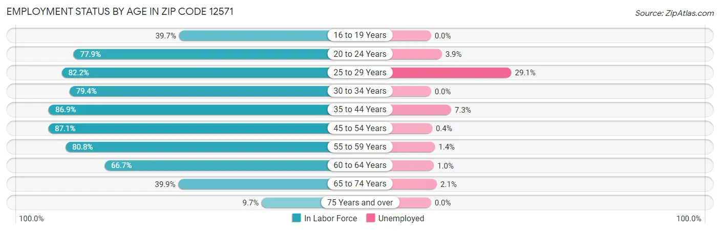 Employment Status by Age in Zip Code 12571