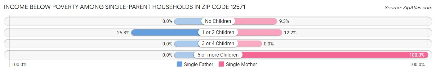 Income Below Poverty Among Single-Parent Households in Zip Code 12571
