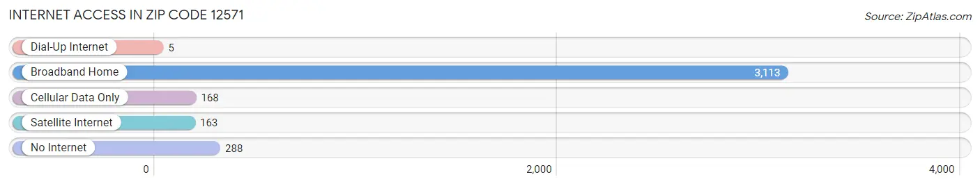 Internet Access in Zip Code 12571