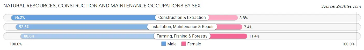 Natural Resources, Construction and Maintenance Occupations by Sex in Zip Code 12571